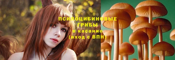 тгк Елизово