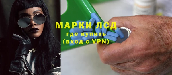 сатива Зеленокумск