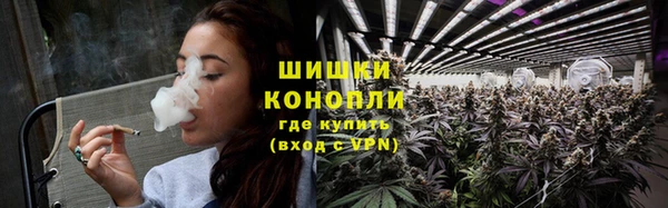 тгк Елизово