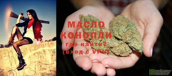 тгк Елизово