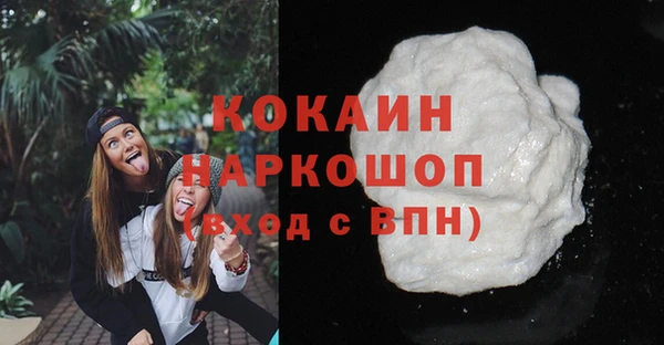 тгк Елизово