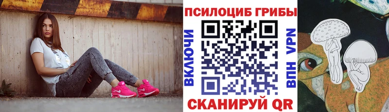 Галлюциногенные грибы Psilocybe  ОМГ ОМГ   Правдинск 