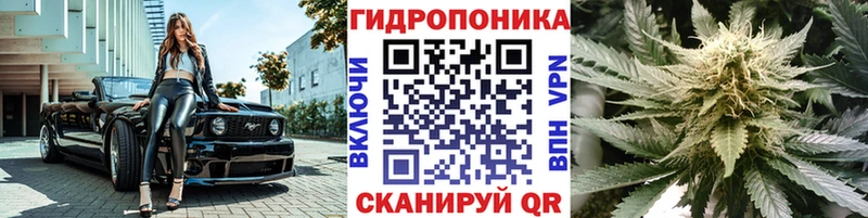 Каннабис Bruce Banner Правдинск